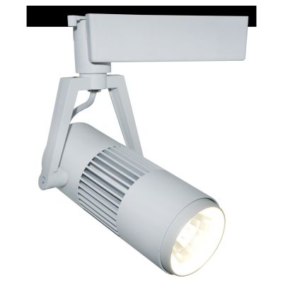 A6520PL-1WH Спот RECESSED LIGHTS TRACK LIGHTS, Белый, ArteLamp
